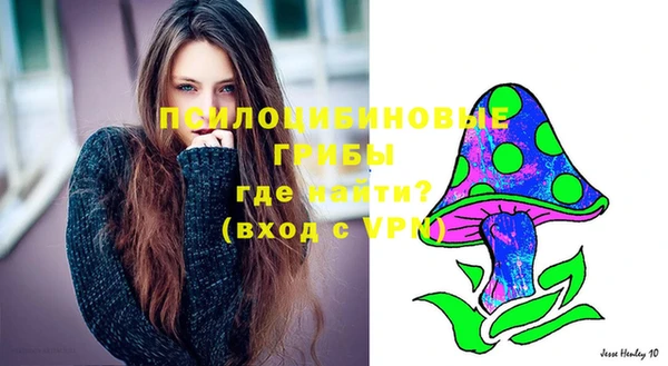 прущая мука Пролетарск