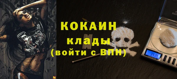 сатива Вяземский