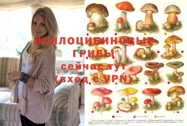 сатива Вяземский