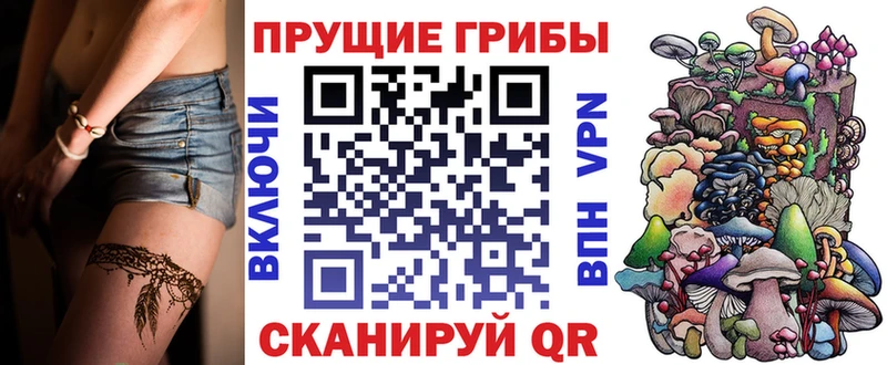 Псилоцибиновые грибы мухоморы  Тогучин 